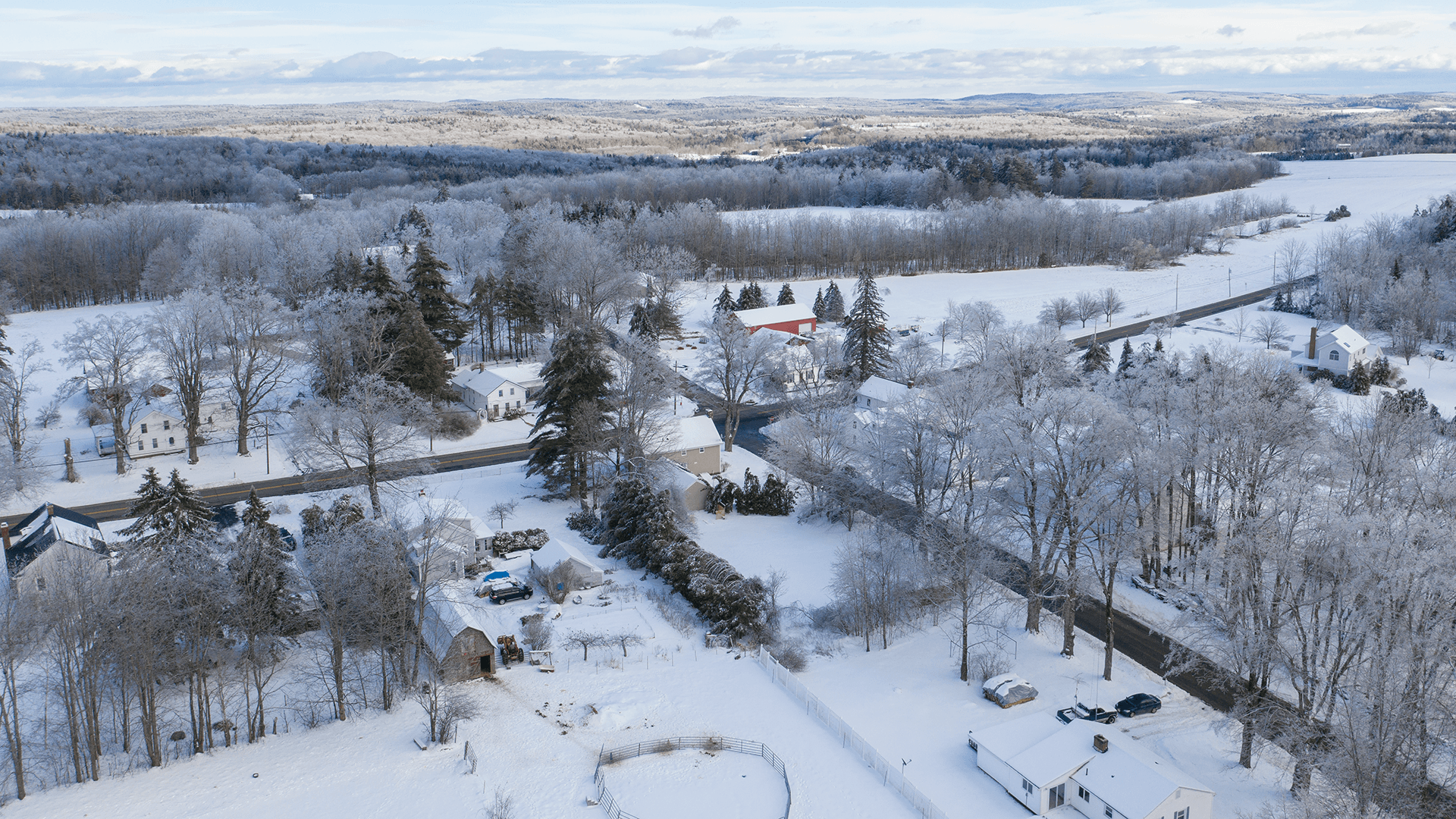 A snowy landscape with trees and houses in the background.