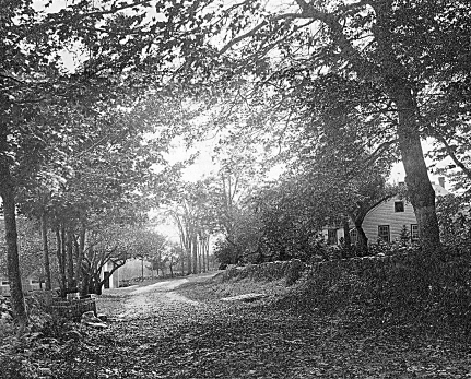 A black and white photo of trees, houses and people.