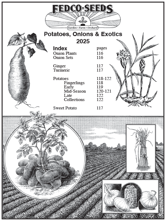 A qr code with a picture of the same image.