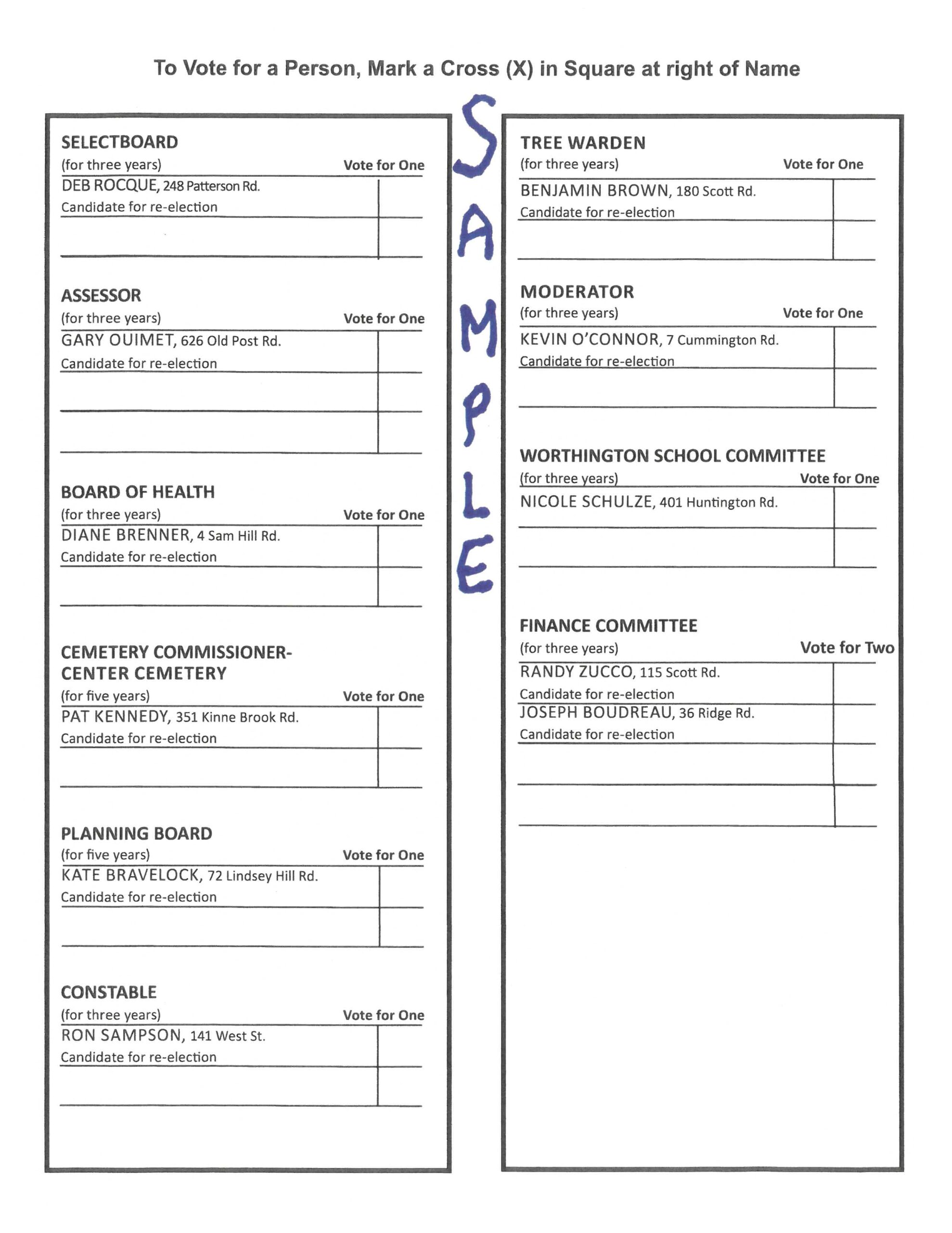 Local Election Voting Form Guide 2026 Town Elections